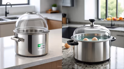 automatic egg boiler price