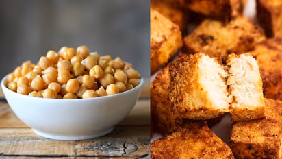 ಪ್ರೋಟೀನ್ ಪವರ್ ಹೌಸ್ ಎನಿಸಿರುವ ಈ 5 ಫುಡ್ಸ್ ಮಕ್ಕಳು, ವೃದ್ಧರಿಗೆ ನೀಡಿ,  ಸಂಪೂರ್ಣ ಶಕ್ತಿ ನೀಡುತ್ತೆ!