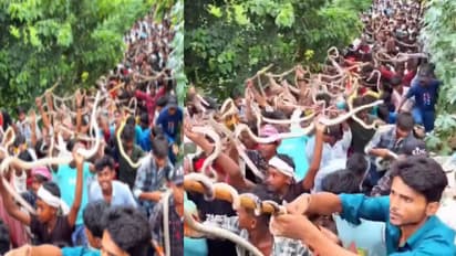 People took out a procession with snakes