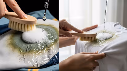 Best way to clean fungus from clothes in rainy season