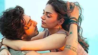 सैयारा: अहान पांडे नेपोटीझमचा बळी का ठरला नाही, चित्रपटानं मिळवलं प्रचंड यश