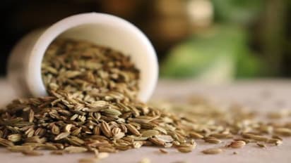 fennel seed