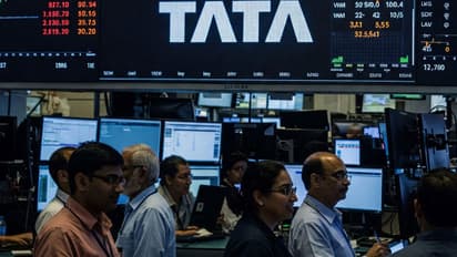 Tata Motors CV Share