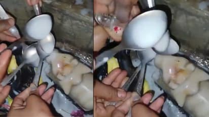 nandi baba drinks milk viral video aligarh shiv temple