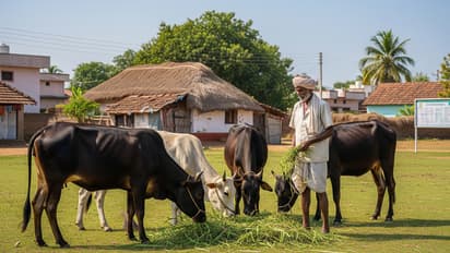 nirashrit besahara govansh sahbhagita yojana up