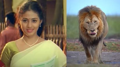 'ಜಯಂ' ಚಿತ್ರದ ಈ ನಾಯಕಿ ಯಾರಿಗೆ ತಾನೆ ನೆನಪಿಲ್ಲ? 'ವೆಳ್ಳುವಯ್ಯ ವೆಳ್ಳು' ಖ್ಯಾತಿಯ ಸದಾ ಈಗಿನ ಹೊಸ ಲುಕ್ ನೋಡಿದ್ರೆ ಅಚ್ಚರಿಪಡ್ತೀರಿ!