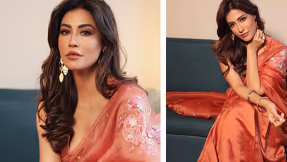 Chitrangada Embroidered beautiful saree