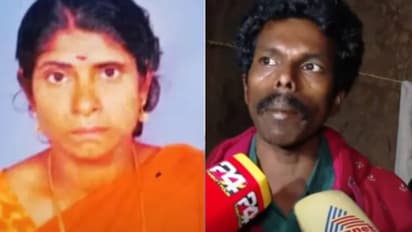 sita elephant attack