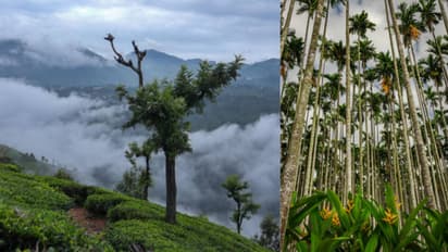 IRCTC 4-day Ooty Coimbatore tour package details