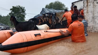 heavy rain in rajasthan