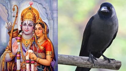 Khagaria fake residential certificate