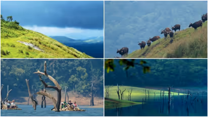 വെക്കേഷൻ വൈബ്സ് ഓൺ! ക്രിസ്മസ് അവധി കളറാക്കാൻ പറ്റിയ കേരളത്തിലെ ഡെസ്റ്റിനേഷനുകൾ