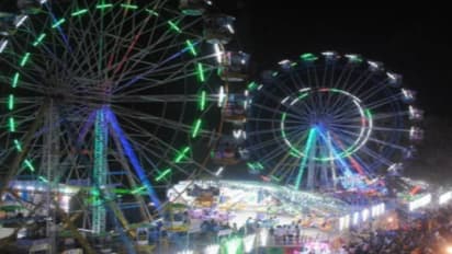 Ara Disneyland fair accident