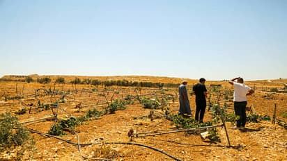 bihar land dispute resolution