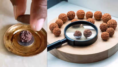 tips to identify real rudraksha