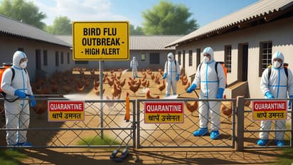 udham singh nagar bird flu kichha farm alert