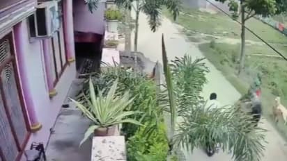 Varanasi property dealer murder