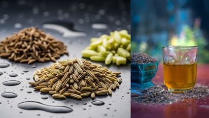 Malaika Arora 3 seeds detox drink recipe for weight loss