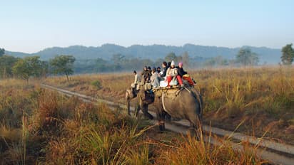 corbett national park night stay advance booking foreign tourists 2025