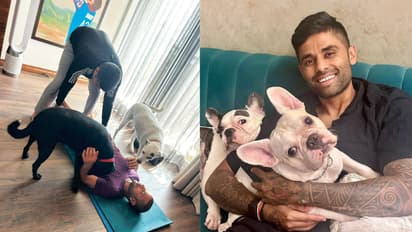 International Dog Day : धवन, सूर्याने शेअर केले गोंडस श्वानांचे फोटो, या क्रिकेटर्सचा त्यांच्यावर आहे जीव