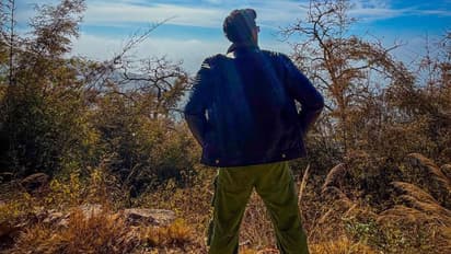 बिग बॉस १९ मधील सर्वाधिक मानधन घेणार, जाणून घेतल्यावर व्हाल हैराण