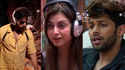 Bigg Boss 19: फरहानाची एन्ट्री होताच बसीर अलीसोबत जबरदस्त भांडण, बिग बॉस १९चे वातावरण तापले