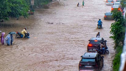 Gurugram imd  rainfall flood live update heavy rain punjab himachal rajasthan