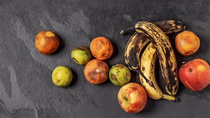 ಮಳೆಗಾಲದಲ್ಲಿ ಹಣ್ಣು-ತರಕಾರಿಗಳ ಮೇಲೆ ಸುಳಿದಾಡುವ ಕಪ್ಪು ಕೀಟಗಳನ್ನು ತೊಡೆದುಹಾಕಲು ಹೀಗೆ ಮಾಡಿ