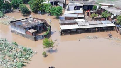 Punjab flood relief package farmers compensation 2025