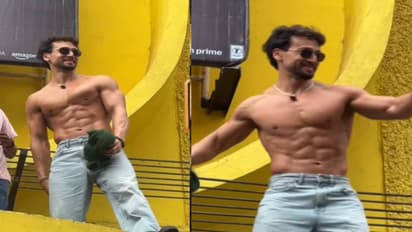 Baaghi 4 Triumphs at Box Office, Tiger Shroff Thrills Fans with Shirtless Moment (Watch)