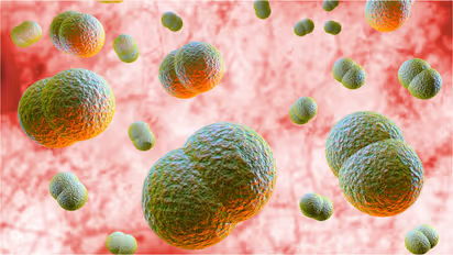 Two More Amoebic Meningoencephalitis Cases Reported in Kerala