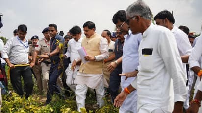 mp farmers news soybean crop loss compensation mohan yadav