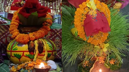 Navratri 2025 barley sowing method