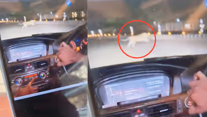 leopard spotted in lucknow cantt bangla bazaar viral video