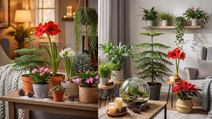 mini plants for home decor