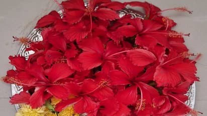 পূজার শুকনো বর্জিত ফুল থেকে কীভাবে সার তৈরি হয় জানেন? রইল বিস্তারিত