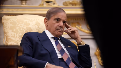 UNGA-তে শাহবাজের মিথ্যাচার, ‘সাজানো শিকার’ তকমার কড়া জবাব ভারতের