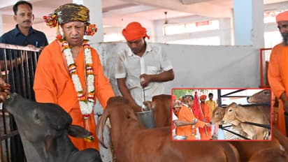 vijayadashami gopujan gorakhnath temple yogi adityanath