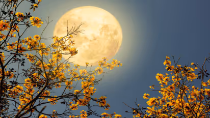 शरद पूर्णिमा