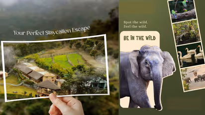 Marchula Jim Corbett for birthday celebration