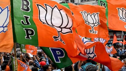 Maharashtra Local Body Election 