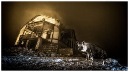 Wildlife Photographer of the Year