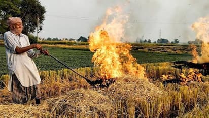 Punjab stubble burning