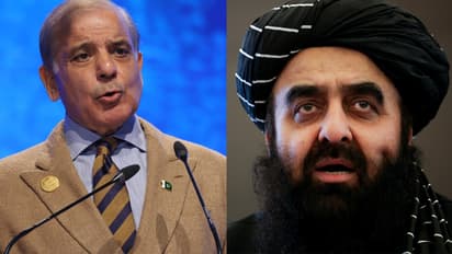 Shehbaz Sharif vs Amir khan muttaqi