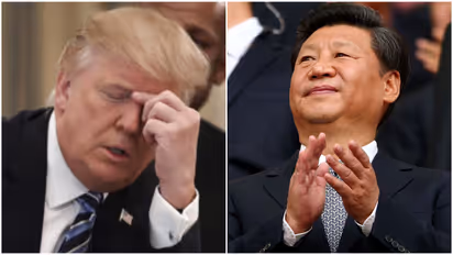 trump xi jinping 