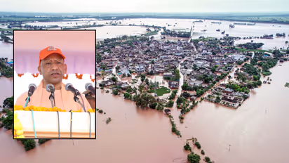 up govt sends 1000 quintal wheat seeds to flood hit punjab farmers