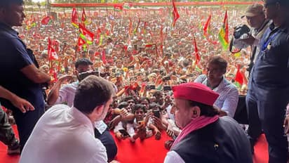 समाजवादी पार्टी 