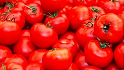 Home made tomato ketchup