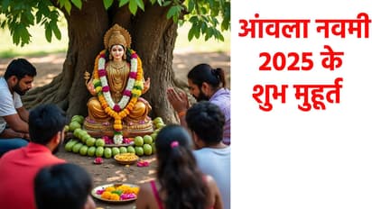 Amla Navami 2025
