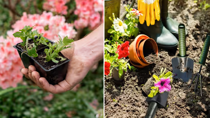 गार्डनिंग यूजफुल प्रोडक्ट